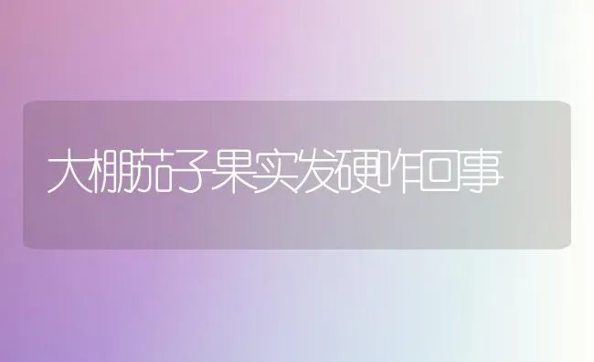 大棚茄子果实发硬咋回事 | 瓜果种植