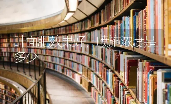 叶面肥效果好，喷施浓度是多少 | 瓜果种植