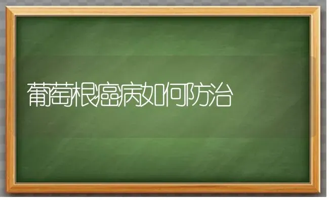 葡萄根癌病如何防治 | 瓜果种植