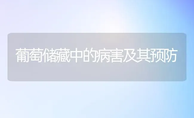 葡萄储藏中的病害及其预防 | 瓜果种植