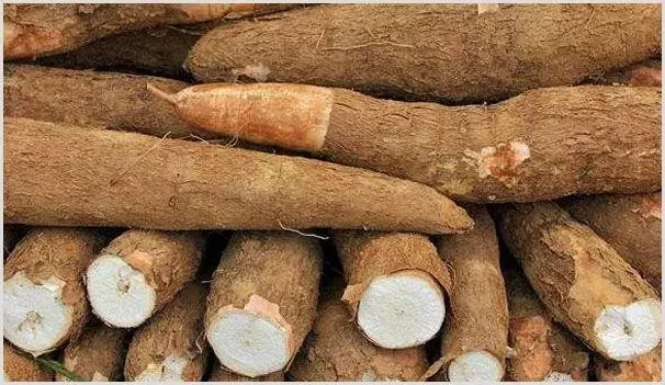 木薯种植时间把握与技巧分享 | 耕种资料