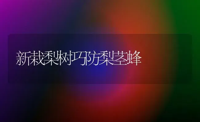 新栽梨树巧防梨茎蜂 | 瓜果种植