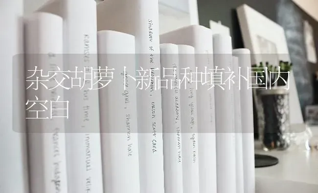 杂交胡萝卜新品种填补国内空白 | 蔬菜种植