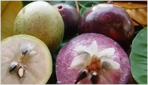 金星果的种植栽培管理及繁殖技术要点 | 农业技术
