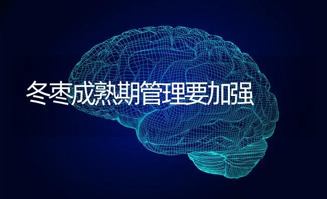 冬枣成熟期管理要加强 | 瓜果种植