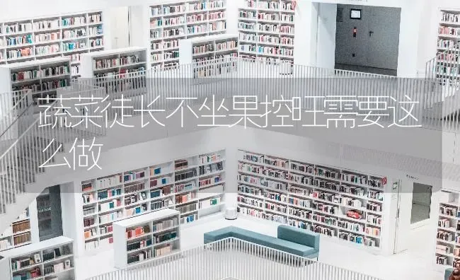 蔬菜徒长不坐果控旺需要这么做 | 蔬菜种植
