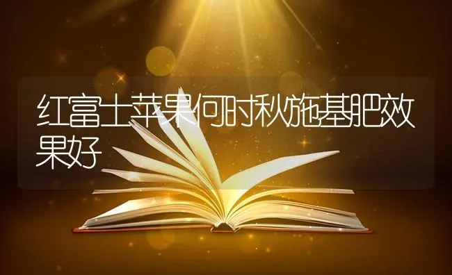 红富士苹果何时秋施基肥效果好 | 瓜果种植