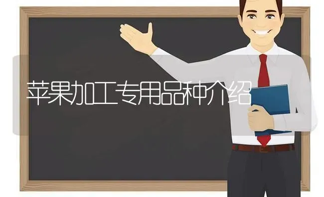 苹果加工专用品种介绍 | 瓜果种植