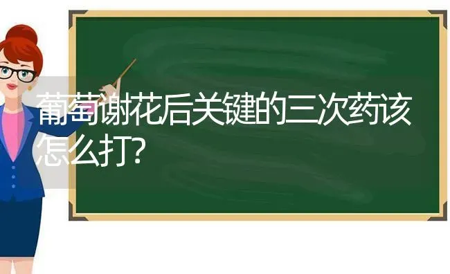 葡萄谢花后关键的三次药该怎么打？ | 瓜果种植