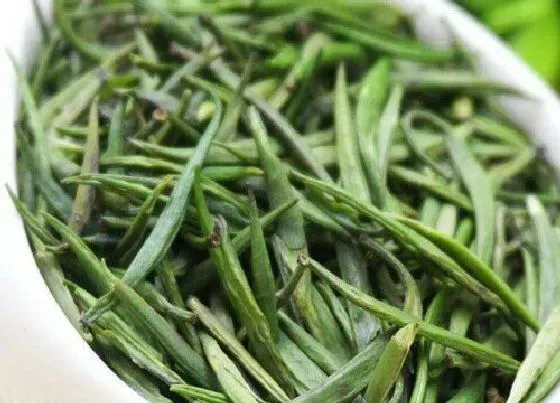 植物泡水|中国最好的茶叶排名榜（知名高端茶叶品类品牌）