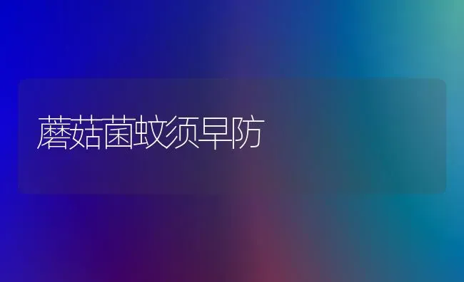 蘑菇菌蚊须早防 | 食用菌种植