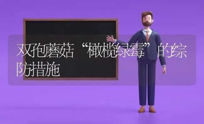 双孢蘑菇“橄榄绿霉”的综防措施 | 食用菌种植
