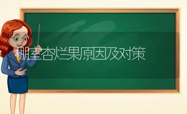 棚室杏烂果原因及对策 | 瓜果种植