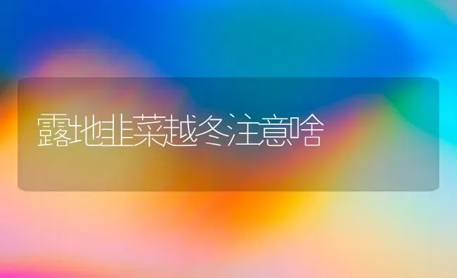 露地韭菜越冬注意啥 | 蔬菜种植