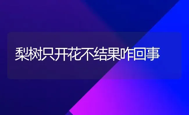 梨树只开花不结果咋回事 | 瓜果种植