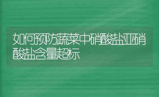 如何预防蔬菜中硝酸盐亚硝酸盐含量超标 | 蔬菜种植