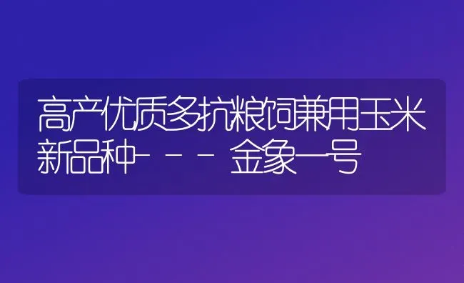 高产优质多抗粮饲兼用玉米新品种---金象一号 | 粮油作物种植