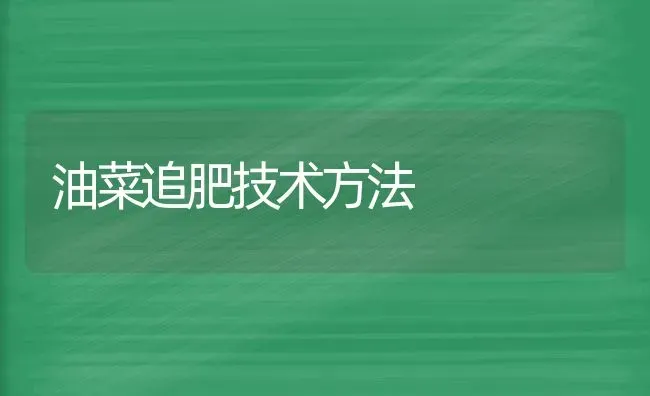 油菜追肥技术方法 | 粮油作物种植