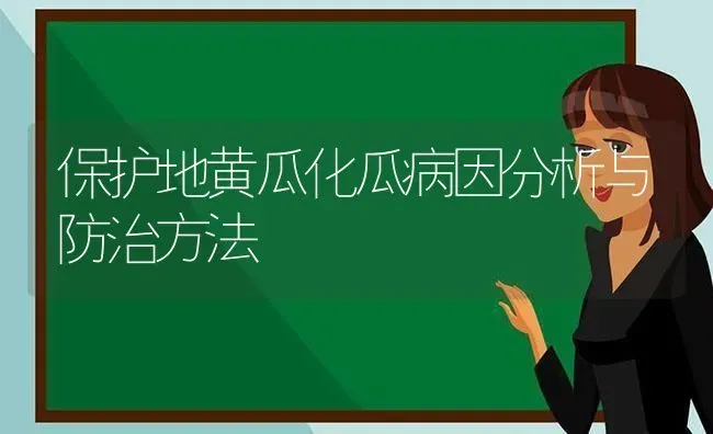 保护地黄瓜化瓜病因分析与防治方法 | 蔬菜种植