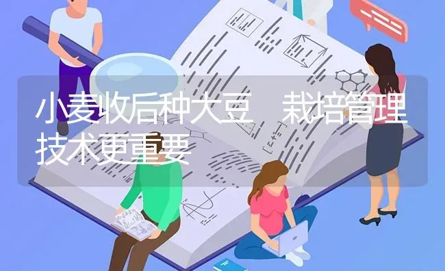 小麦收后种大豆 栽培管理技术更重要 | 粮油作物种植