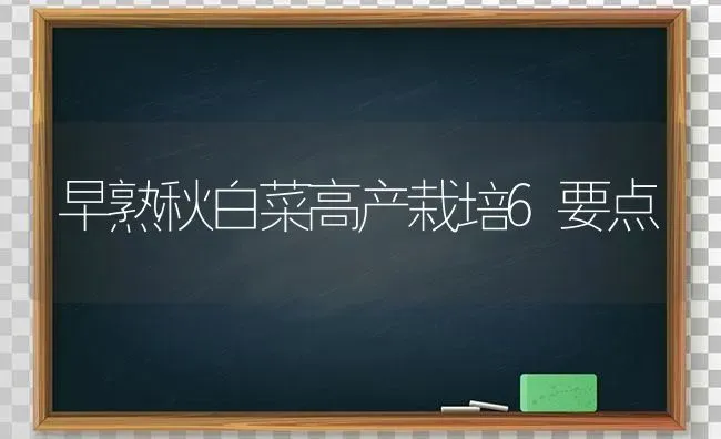 早熟秋白菜高产栽培6要点 | 蔬菜种植