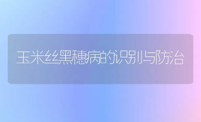 玉米丝黑穗病的识别与防治 | 粮油作物种植