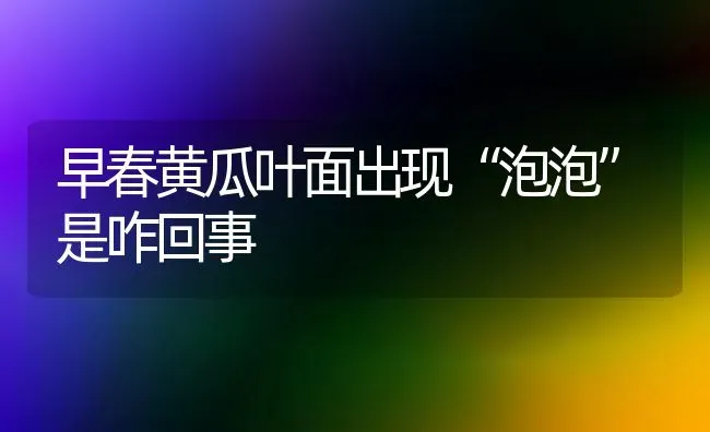 早春黄瓜叶面出现“泡泡”是咋回事 | 蔬菜种植