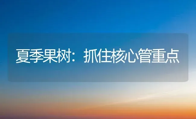 夏季果树：抓住核心管重点 | 瓜果种植