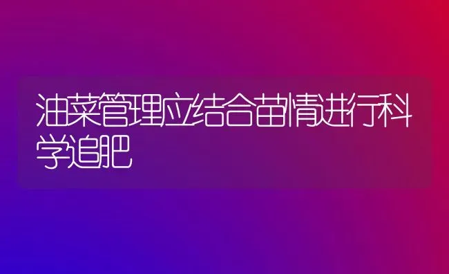 油菜管理应结合苗情进行科学追肥 | 粮油作物种植