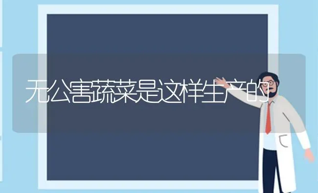 无公害蔬菜是这样生产的 | 蔬菜种植