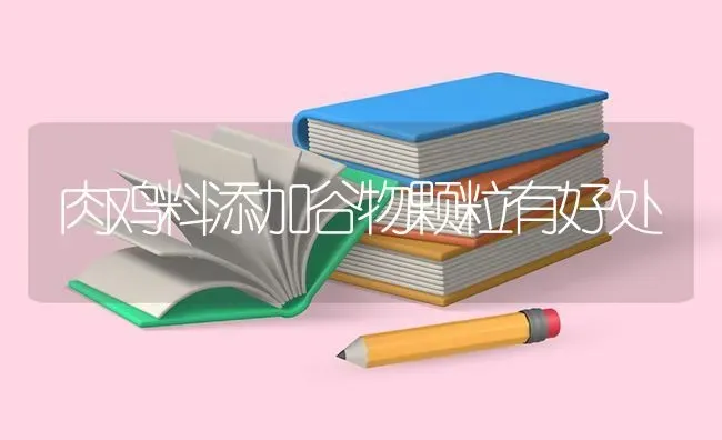 葡萄糖疗法对奶牛酮病效果不错 | 瓜果种植