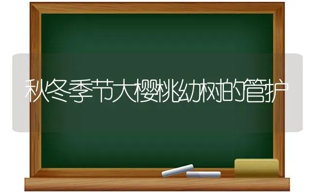 秋冬季节大樱桃幼树的管护 | 瓜果种植