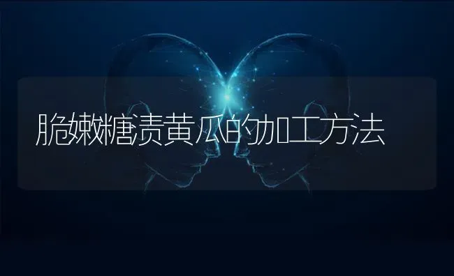 脆嫩糖渍黄瓜的加工方法 | 蔬菜种植