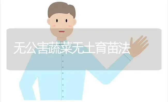 无公害蔬菜无土育苗法 | 蔬菜种植