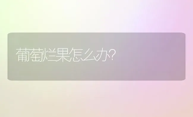 葡萄烂果怎么办？ | 瓜果种植