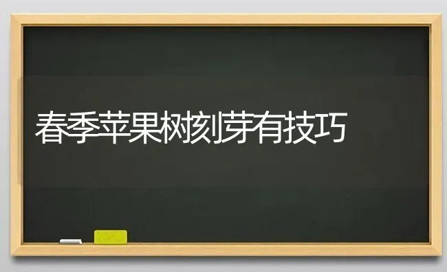 春季苹果树刻芽有技巧 | 瓜果种植