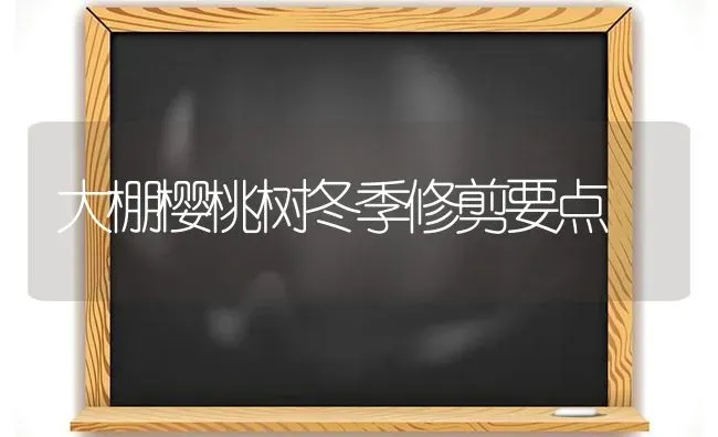 大棚樱桃树冬季修剪要点 | 瓜果种植