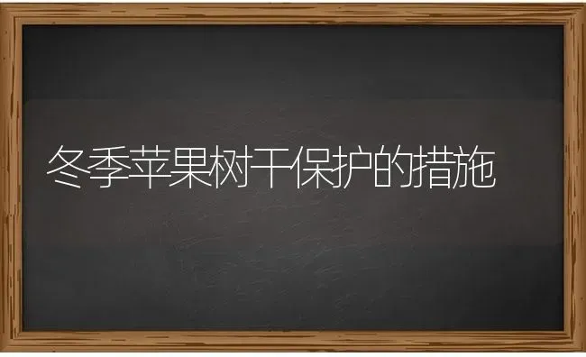 冬季苹果树干保护的措施 | 瓜果种植