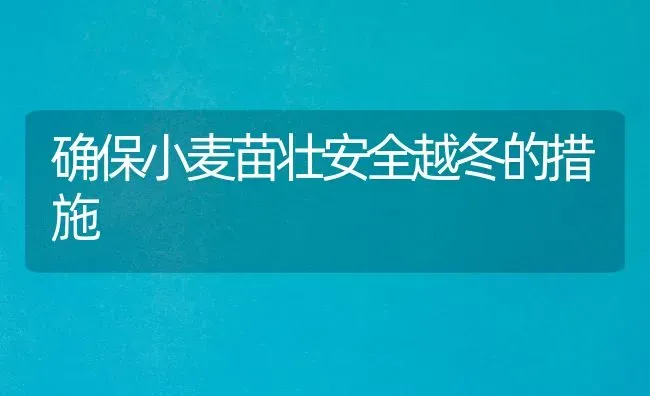 确保小麦苗壮安全越冬的措施 | 粮油作物种植