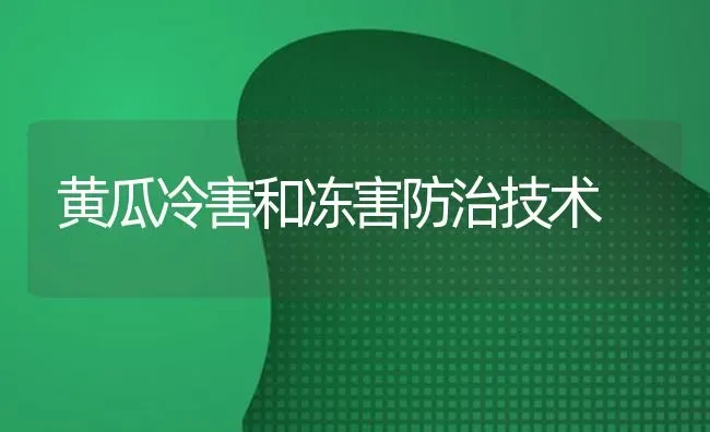 黄瓜冷害和冻害防治技术 | 蔬菜种植