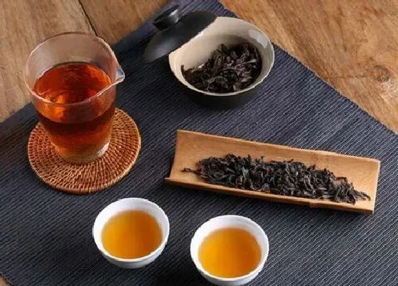 食用常识|马头岩肉桂属于什么茶类（福建马头岩肉桂叶价格、保质期）
