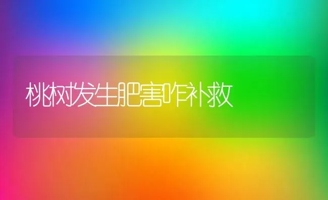 桃树发生肥害咋补救 | 瓜果种植