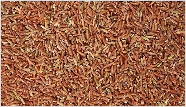 红米种植高产管理技巧分享 | 种植资料