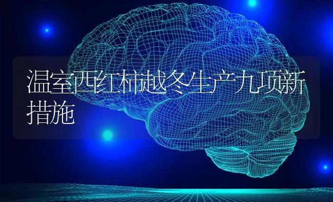 温室西红柿越冬生产九项新措施 | 蔬菜种植