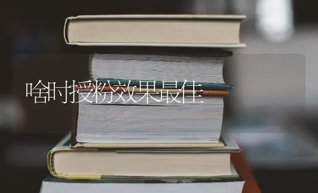 啥时授粉效果最佳 | 瓜果种植