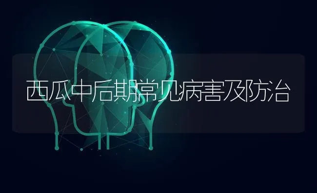 西瓜中后期常见病害及防治 | 瓜果种植
