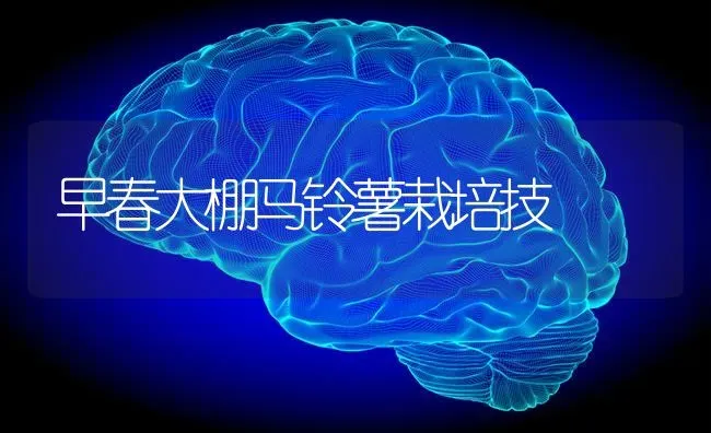 早春大棚马铃薯栽培技 | 粮油作物种植