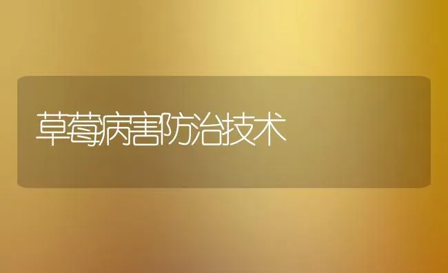 草莓病害防治技术 | 瓜果种植