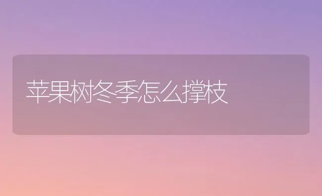 苹果树冬季怎么撑枝 | 瓜果种植