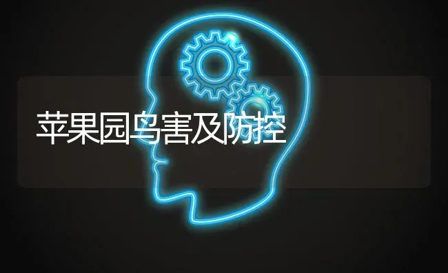 苹果园鸟害及防控 | 瓜果种植
